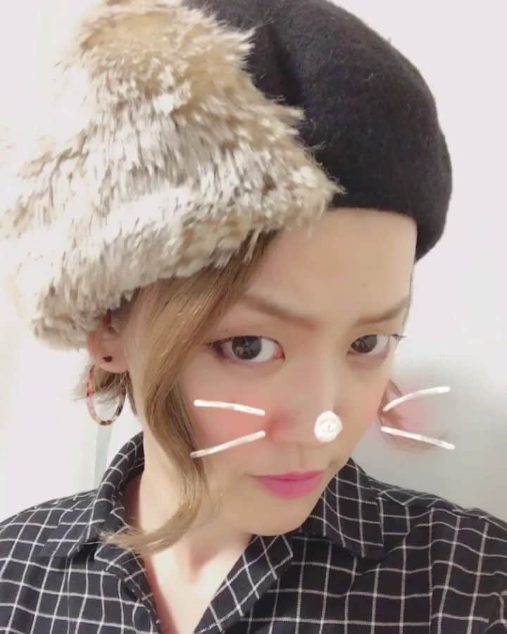 丹羽麻由美のインスタグラム