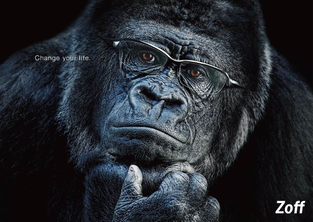 Zoff Officialのインスタグラム：「＼🐵さる🐒／ 今日は「猿の惑星：聖戦記」公開日🎥 猿と言えば、Zoffのゴリラ広告です🐒✨ #ChangeYourLife #考える猿 #インテリ猿 #まさにシーザー #イケメン #イケサル #イケザル #めがねざる #眼鏡 #zoff #zoff_eyewear」
