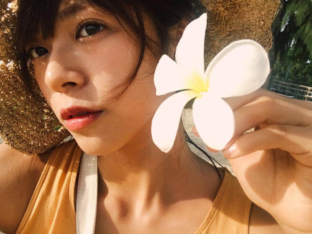 のインスタグラム：「プルメリア💛 だいすき！！！ . #プルメリア #わちみなみ #お花 #saipan #麦わら帽子 #夏」