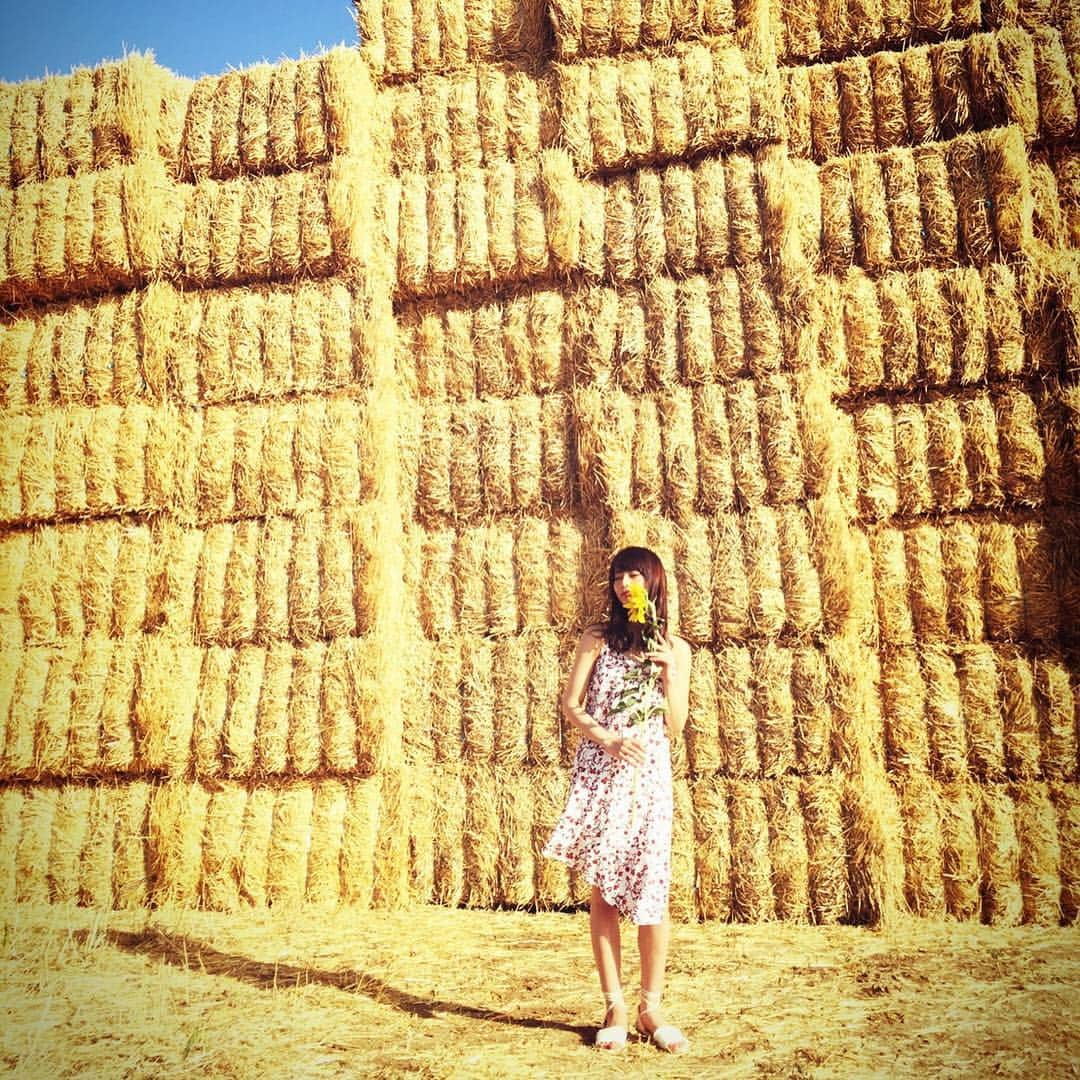 若月佑美さんのインスタグラム写真 - (若月佑美Instagram)「向日葵を片手にたたずむ若月さん！ 絵になります！！」10月16日 2時25分 - waka_palette
