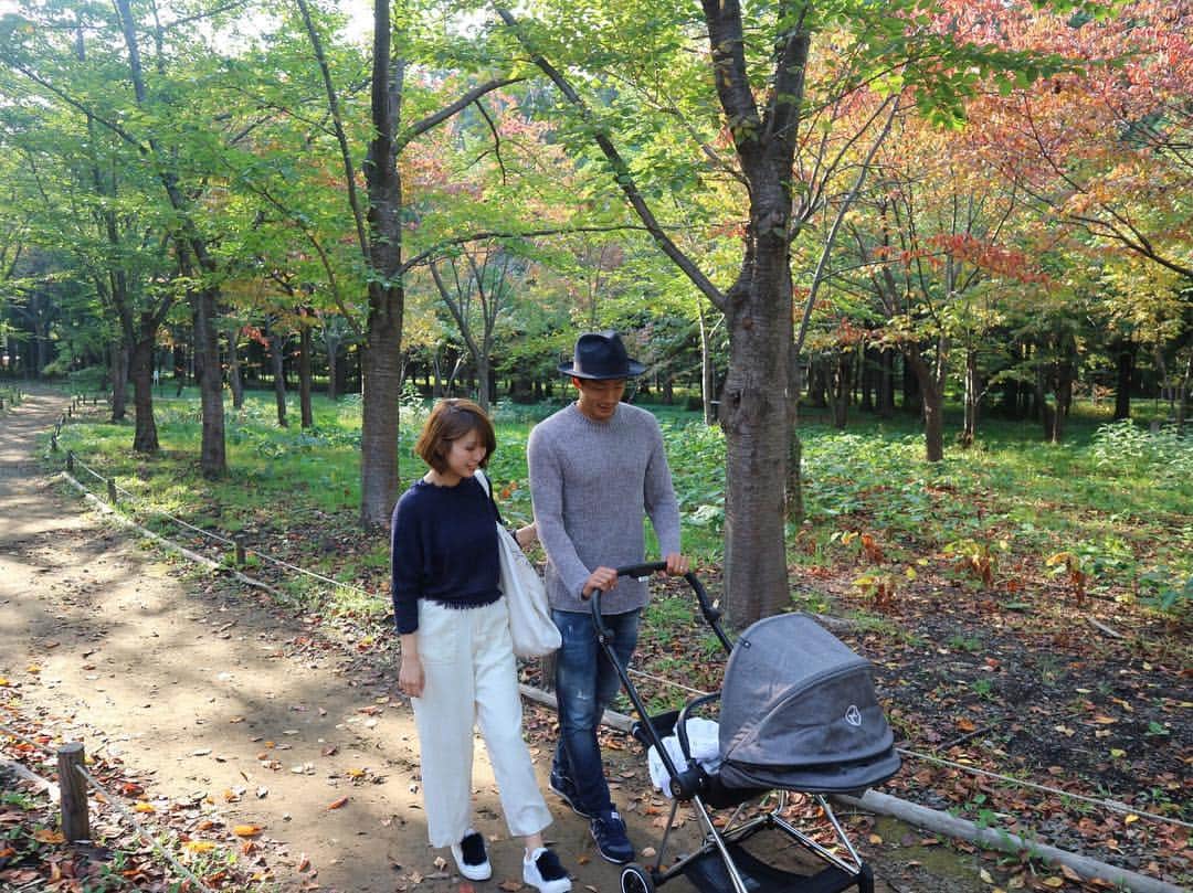 都倉賢のインスタグラム：「先日の円山公園🍁」
