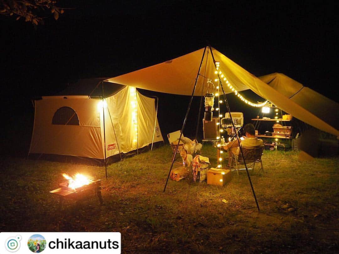 キャンプ情報サイト［ランタン］さんのインスタグラム写真 - (キャンプ情報サイト［ランタン］Instagram)「@chikaanuts さんのpic . イルミネーションが綺麗なテントサイトですね🤗キラキラ✨ソーラーのLEDランタンと電池式のイルミネーションLEDガーランドで雰囲気バッチリ👍 . #キャンプ #ライトアップ #coleman #tatonka #lantern_camp #lantern_smile . #lantern_smile でキャンプを楽しむpicをリポストします。」10月16日 16時14分 - lantern.camp