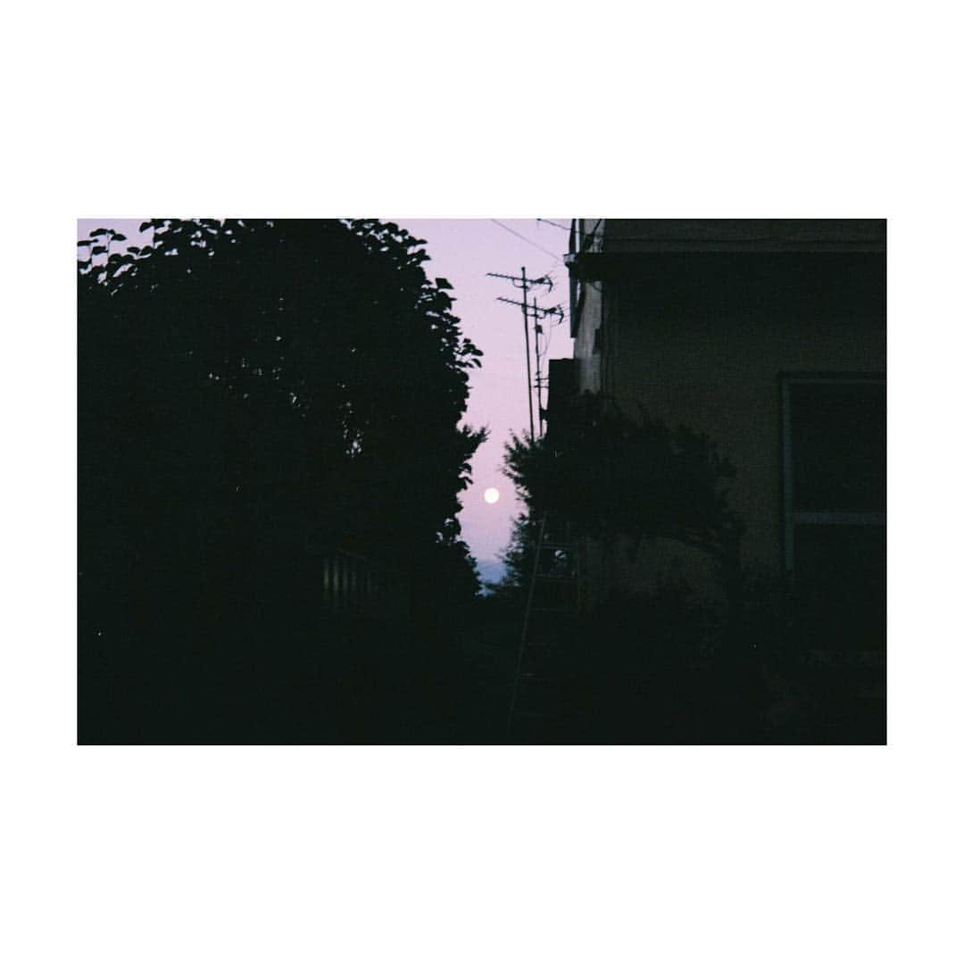 芳根京子さんのインスタグラム写真 - (芳根京子Instagram)「十五夜お月様。  #film」10月17日 10時50分 - yoshinekyoko