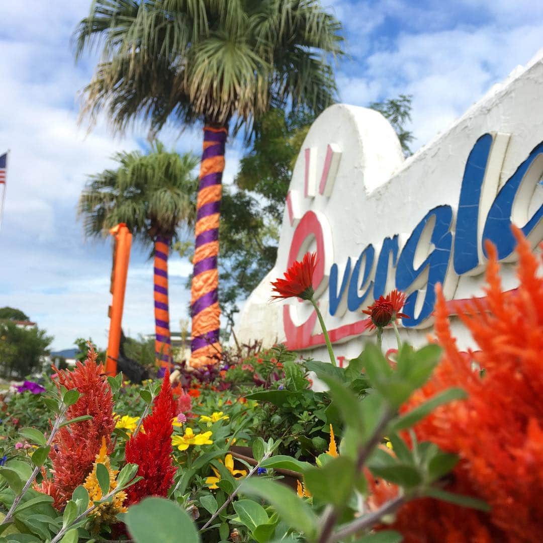 伊勢志摩エバーグレイズのグルメインスタ