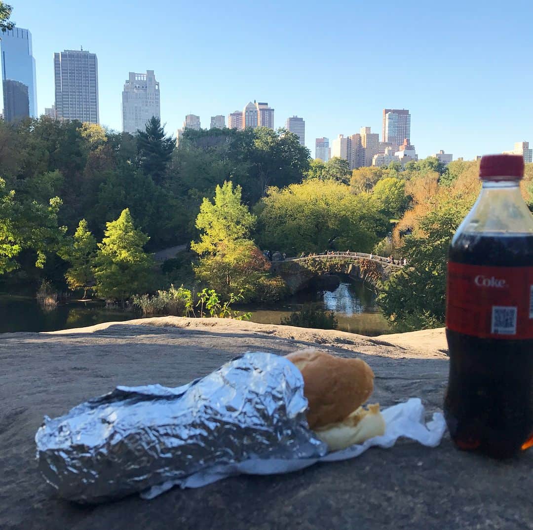 綾部祐二さんのインスタグラム写真 - (綾部祐二Instagram)「I walked on Fifth Avenue and had lunch at Central Park.」10月18日 13時54分 - yujiayabe