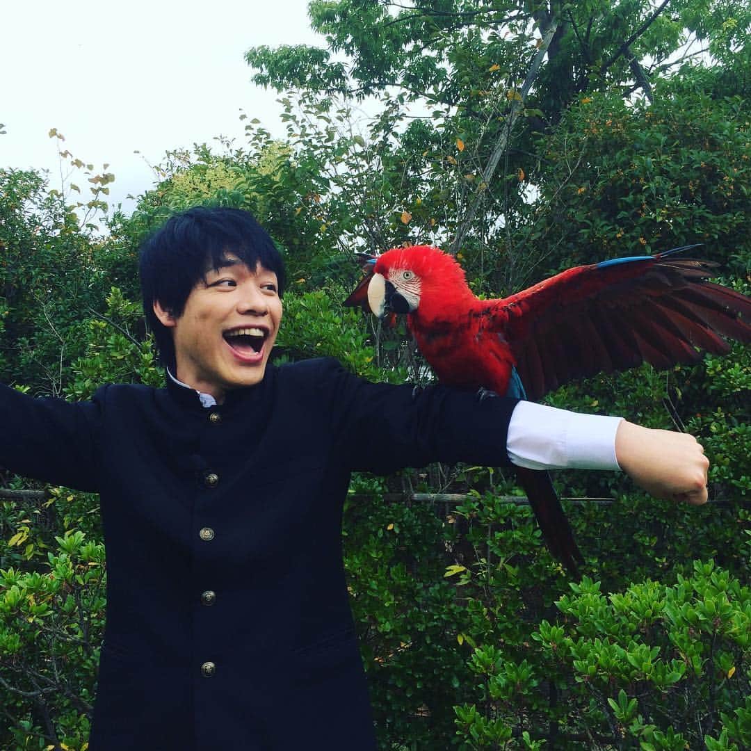 川島明のインスタグラム：「きりんととり」