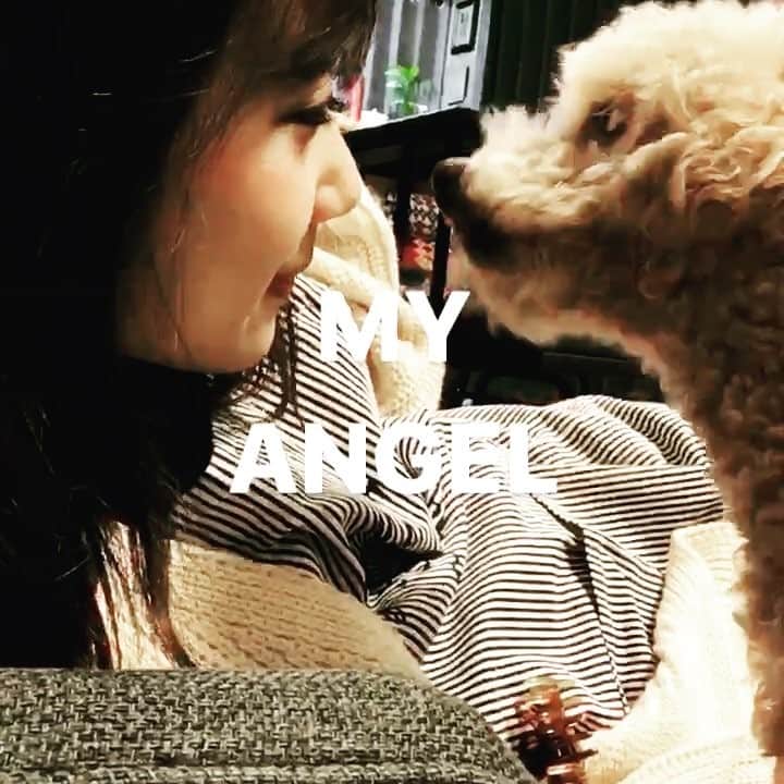 塚本いづみのインスタグラム：「. 服についてた虫が部屋おって叫んだら走ってきてくれて泣いてたらぺろぺろしてきていづみが笑ったらしっぽふってるここ」