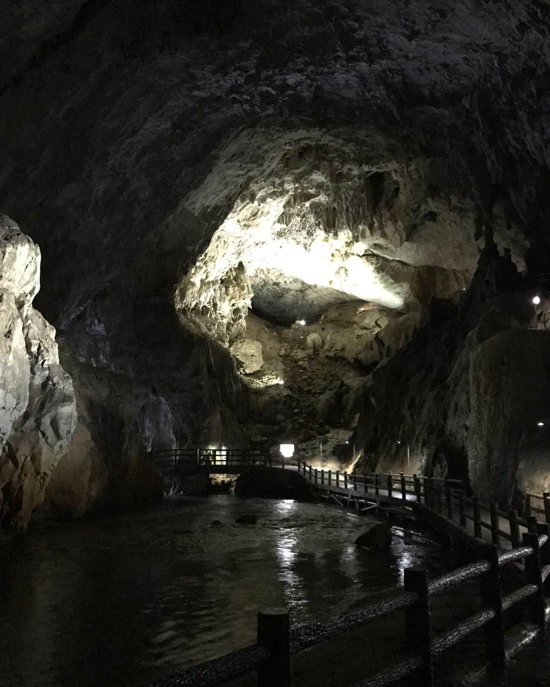 雛月乙葉さんのインスタグラム写真 - (雛月乙葉Instagram)「初めて旅行で山口県に行って参りました🍁  素晴らしい名所の数々を周る秋の旅は最高でした‼️ 人生初の鍾乳洞は2箇所行きましたが色々凄過ぎて感動しているのにも関わらず、ボキャブラリーの無さから最後までセットみたいだわ〜ととぼけた感想を言っていましたが、改めて自然の力の偉大さには敵わないなと感じました。 某G先輩の故郷ということで実行されたこの旅✨全国ツアーで行ったぶりでしたが、山口県が大好きになりました‼️ #山口県#周南からの最西端#からの新岩国#ザッとした説明笑#山賊#鍾乳洞#動物園からの#サファリパーク」11月2日 23時02分 - h.ayano.m