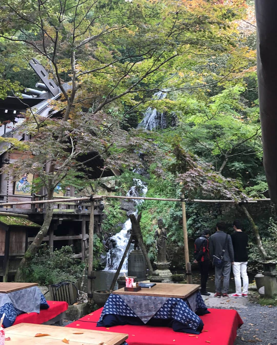 雛月乙葉さんのインスタグラム写真 - (雛月乙葉Instagram)「初めて旅行で山口県に行って参りました🍁  素晴らしい名所の数々を周る秋の旅は最高でした‼️ 人生初の鍾乳洞は2箇所行きましたが色々凄過ぎて感動しているのにも関わらず、ボキャブラリーの無さから最後までセットみたいだわ〜ととぼけた感想を言っていましたが、改めて自然の力の偉大さには敵わないなと感じました。 某G先輩の故郷ということで実行されたこの旅✨全国ツアーで行ったぶりでしたが、山口県が大好きになりました‼️ #山口県#周南からの最西端#からの新岩国#ザッとした説明笑#山賊#鍾乳洞#動物園からの#サファリパーク」11月2日 23時02分 - h.ayano.m