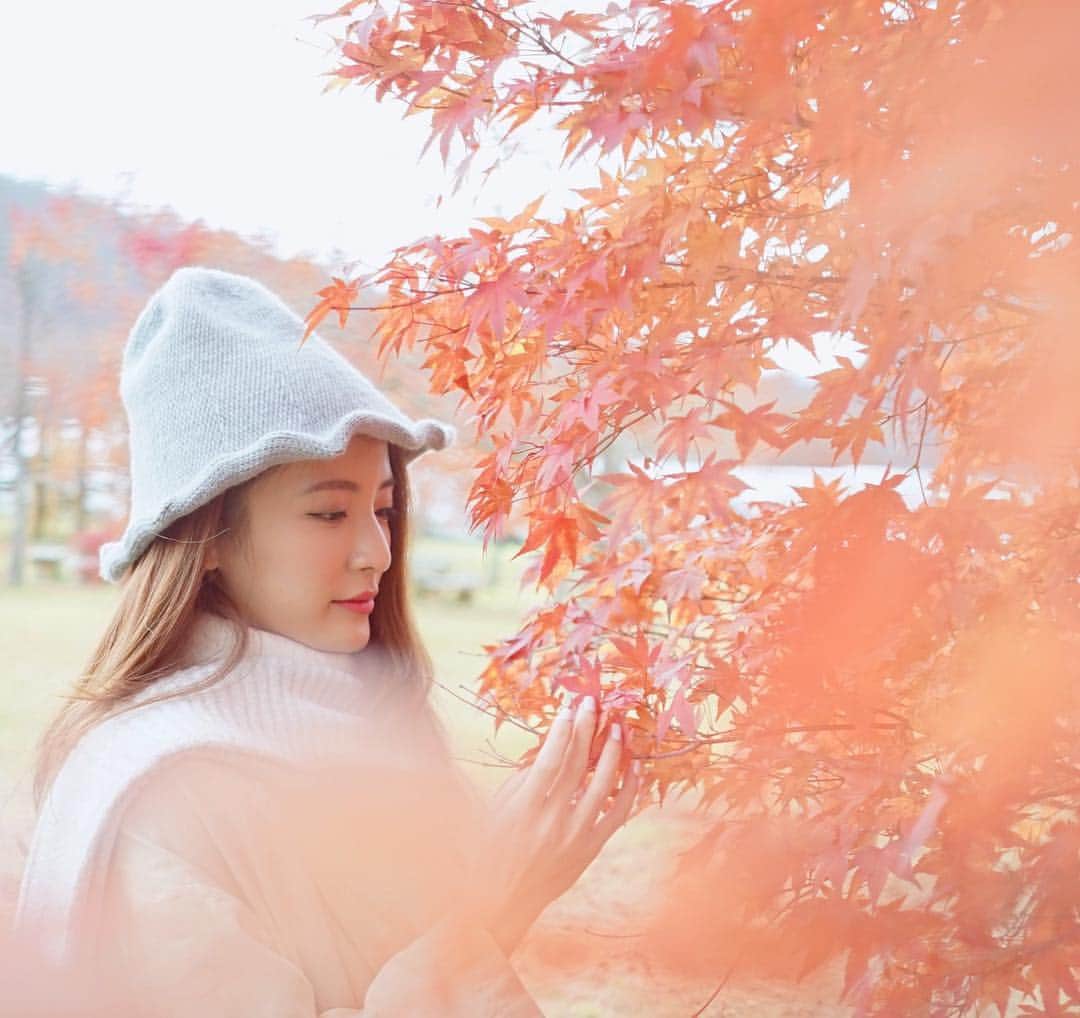 Giann Chanのインスタグラム：「硏究楓葉組🍁  #楓人院 #Aomori #CTYTRAVELMAP」