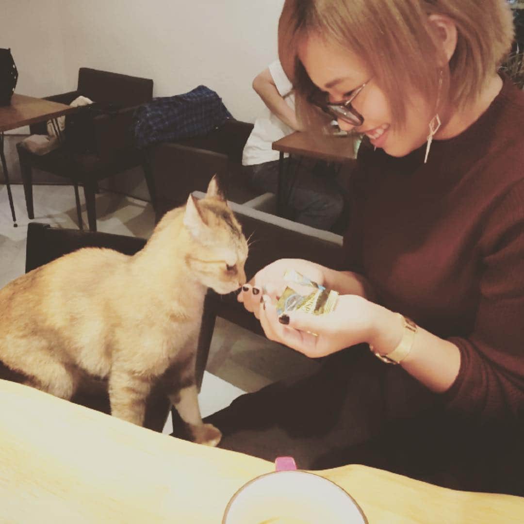 R!Nのインスタグラム：「相変わらず . . 猫ちゃんには弱いです。 . #cat #猫 #🐈 #ねこ #にゃんこ #らぶ #catlover #メロメロ #可愛い #かわいい #猫好きさんと繋がりたい #癒し #happy #singer #singersongwriter #music #musicismylife #RIN #Gemie #vocalist #instadaily #instapic #instacat #kwc2017 #champion #like4like #followme #伊達メガネ #klasse14」