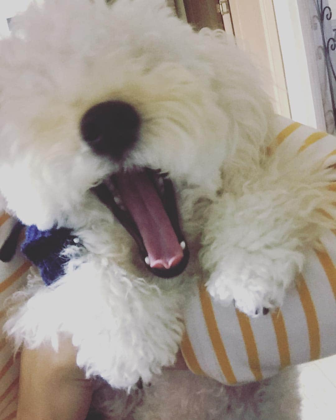 イ・ヒョヌのインスタグラム：「아아아아아 사기당했어!!!! #하늘이5.7키로인데....」