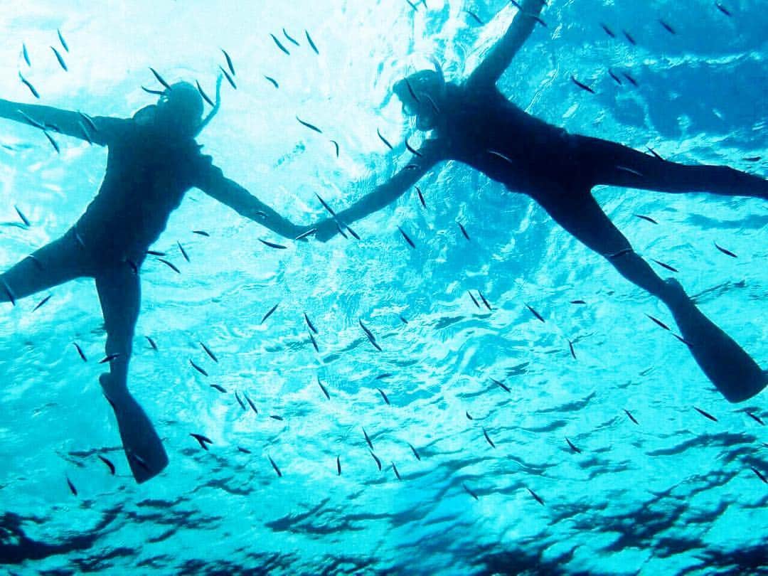 藤巻紗月のインスタグラム：「🐬💓🐠💓🐬💓🐠💓 綺麗な海で潜りたい欲。 夏よ来い。 #石垣島 #finswimming #freediving」