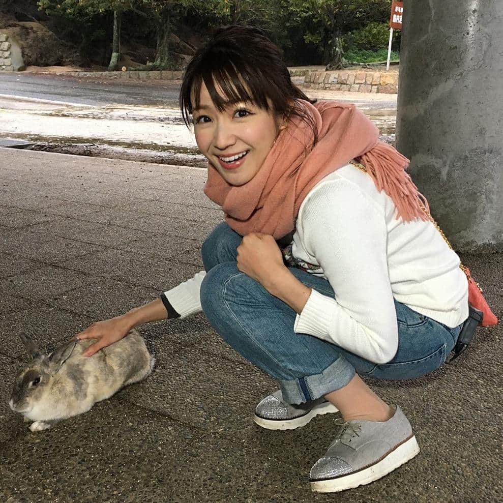 長野美郷のインスタグラム：「こちらも💕  観光客急増中！ うさぎの楽園🐰 大久野島への取材✨  7時25分過ぎの放送😊  癒されちゃいます💝 #長野美郷 #めざましどようび #うさぎの楽園 #大久野島」