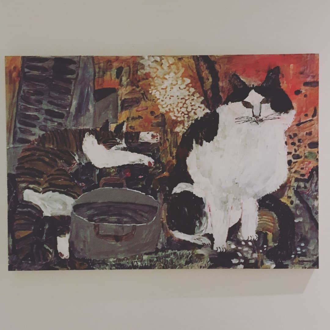 ねこのインスタグラム