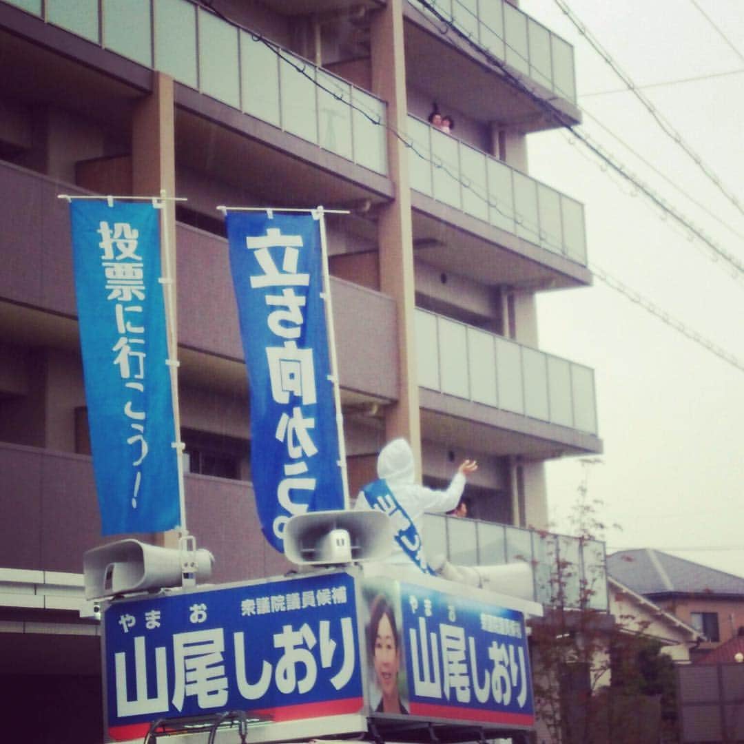 山尾しおりのインスタグラム：「ベランダ」