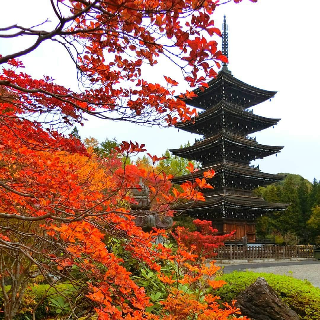 宮城県観光課さんのインスタグラム写真 - (宮城県観光課Instagram)「定義の紅葉🍁 場所によっては綺麗に色づいてます🍁✨ (10月21日撮影📷) #定義#定義山#紅葉#宮城#東北#観光#観光スポット#インスタ映え #おすすめ#TravelJapan #JapanTrip #Instatravel #Travelgram #CoolJapan #follow #instagood #sendai #miyagi #tohoku #japan #tohokutrip #travel  #history」10月21日 12時37分 - miyagi_pref_kankou