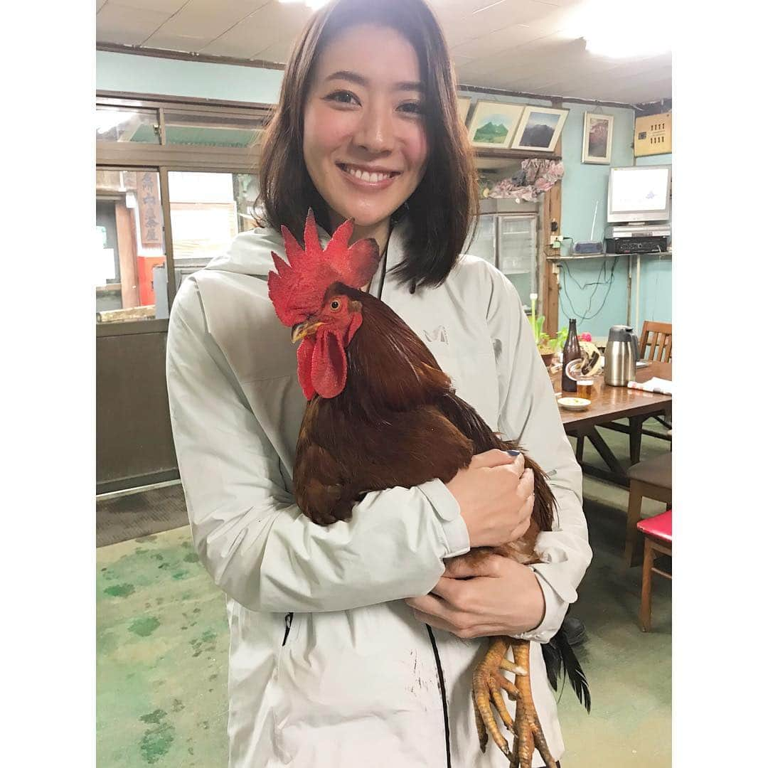 中田奈沙さんのインスタグラム写真 - (中田奈沙Instagram)「I’m in Kobe for shooting🤔 Met a handsome cock🐔🐔🐔 《山歩みち》の撮影で神戸の高取山に来ています⛰ 山道にある〈中の茶屋〉さんでイケメンのもみじという品種のニワトリさんと✨ * * #shooting #photoshoot #instashoot #me #model #kobe #japan #takatori #takatoriyama #cock #hyogo #modeling #magazine #climbing #mountain #mountainclimbing #autumn #高取山 #兵庫 #神戸 #撮影 #山歩みち #登山 #中の茶屋 #山ガール #にわとり #鶏 #イケメン #モデル #秋」10月21日 13時40分 - nasa_nakada