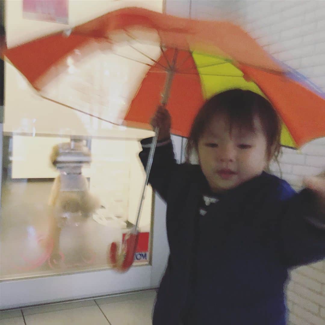 坂本美雨さんのインスタグラム写真 - (坂本美雨Instagram)「歯医者さんにいるかわいらしいワンちゃんに、突然吠えられて、ビックーーン！飛び上がった #今日のなまこちゃん 。こわかった〜！って泣いちゃったけど、あまりにかわいくってかぁちゃん笑い泣きしそうでしたわ… #2歳2ヶ月」10月21日 22時10分 - miu_sakamoto