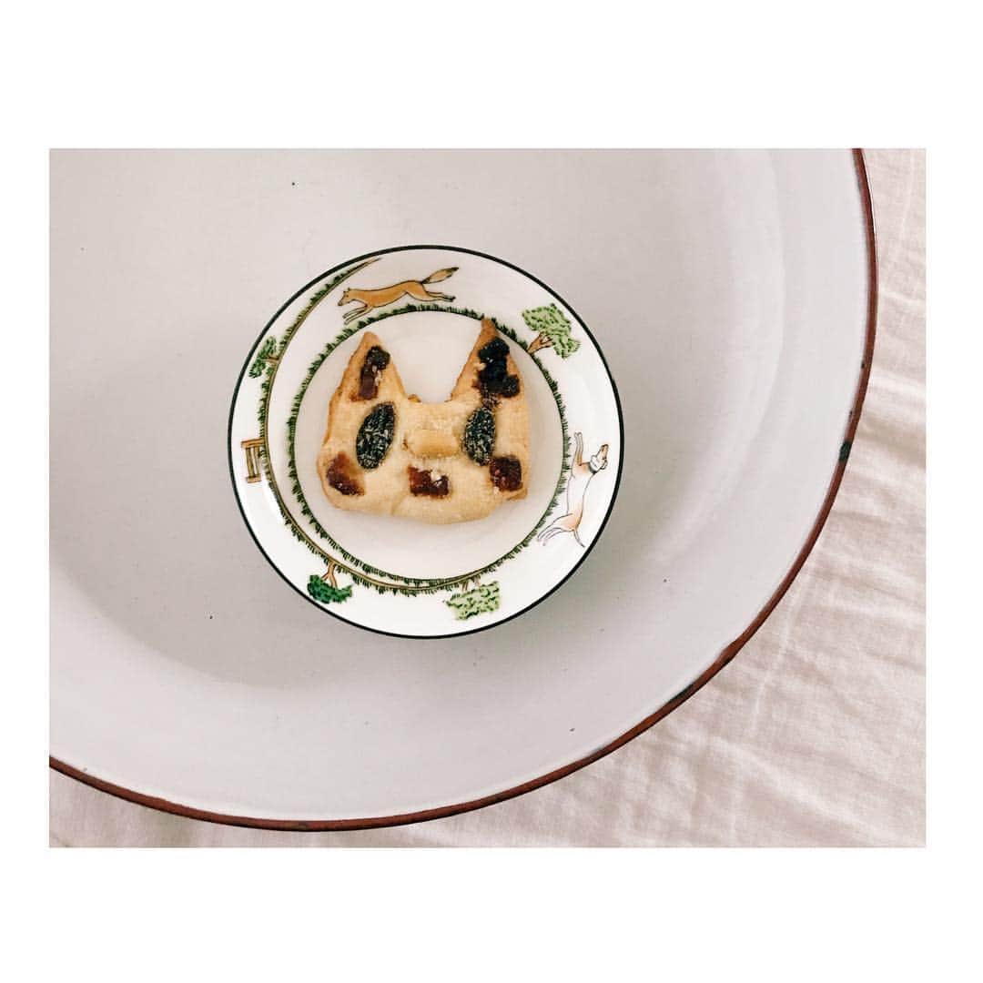 市川実和子のインスタグラム：「🐈 おうちゃんが、作ってくれた猫のスコーン。 かわいすぎて食べれないと言っていたら、あしたの朝のお楽しみにと、丁寧にラッピングしてもたせてくれた。 おうこよー、 おかげでしあわせな朝。 わたしを妹にしてくれるそう。 小学校2年生のお姉ちゃん、できたヽ(；▽；)ノ」