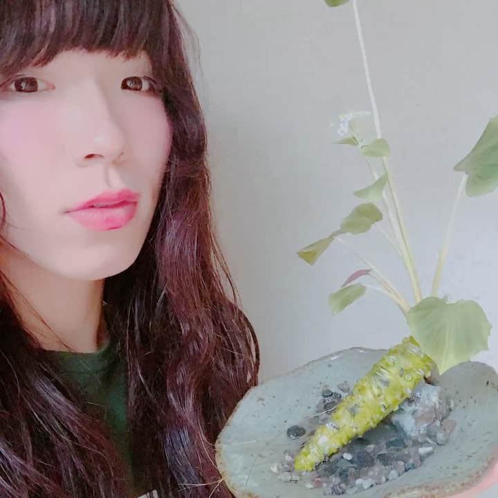 ぺいにゃむにゃむ【二丁目の魁カミングアウト】のインスタグラム：「日本の心。ワビとサビ。 常に心に。ワビとサビ。 まぢ卍。」