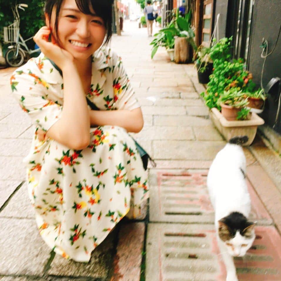 長濱ねるのインスタグラム：「長崎の街にはたくさん猫がいました！🐱🐱🐱🐱 #ねる散歩 #長濱ねこ #おやすみなさい仔猫ちゃん」