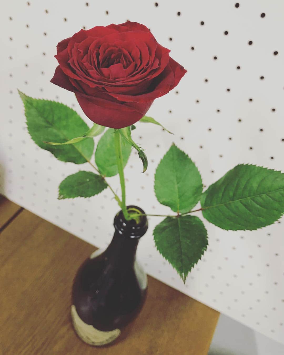 アヤメさんのインスタグラム写真 - (アヤメInstagram)「A single rose with Dom perignon🌹🍾 ドンペリと一輪の薔薇🥂❤️ #domperignon2006 #singlerose #薔薇#一輪挿し#ドンペリ#空き瓶 #atmystudio#lovetoinfinity」10月23日 18時11分 - ayame_socks