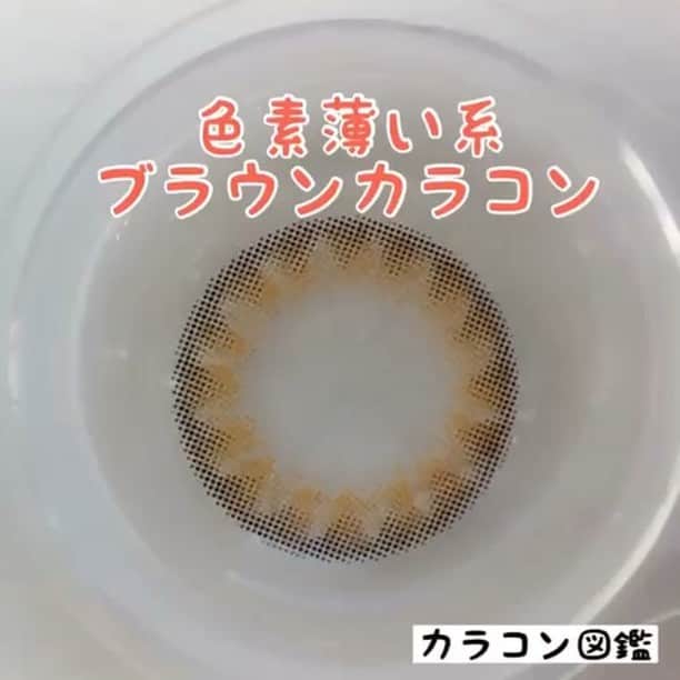 カラコン図鑑のインスタグラム：「. ＼#カラコンレポ #動画 👀♪／ . . ▼カラコンレポはプロフィールのリンクから読んでください⭐ 【@karaconzukan】 . . #色素薄いカラコン です＊ 季節を問わずつけやすいです⭐️ . ＊ カラコンの名前や付け心地などの詳細は TOPにあるブログ記事にUPしています✏️ ＊ 記事のURLもペタリ . http://blog.crooz.jp/abkefdgh/ShowArticle/?no=1829 ＊ ＊ ＊ ❤︎ #カラコン #色素薄い系 #色素薄い系女子 #写真映え #カラーカラコンに挑戦 #女子力 #コスメ #メイク #女子会 #女子力アップ #プチプラコーデ #ハーフカラコン #instagood #camera #follow4follow  #like4like #make #오오티디 #패션피플 #뷰티템 #좋아요」