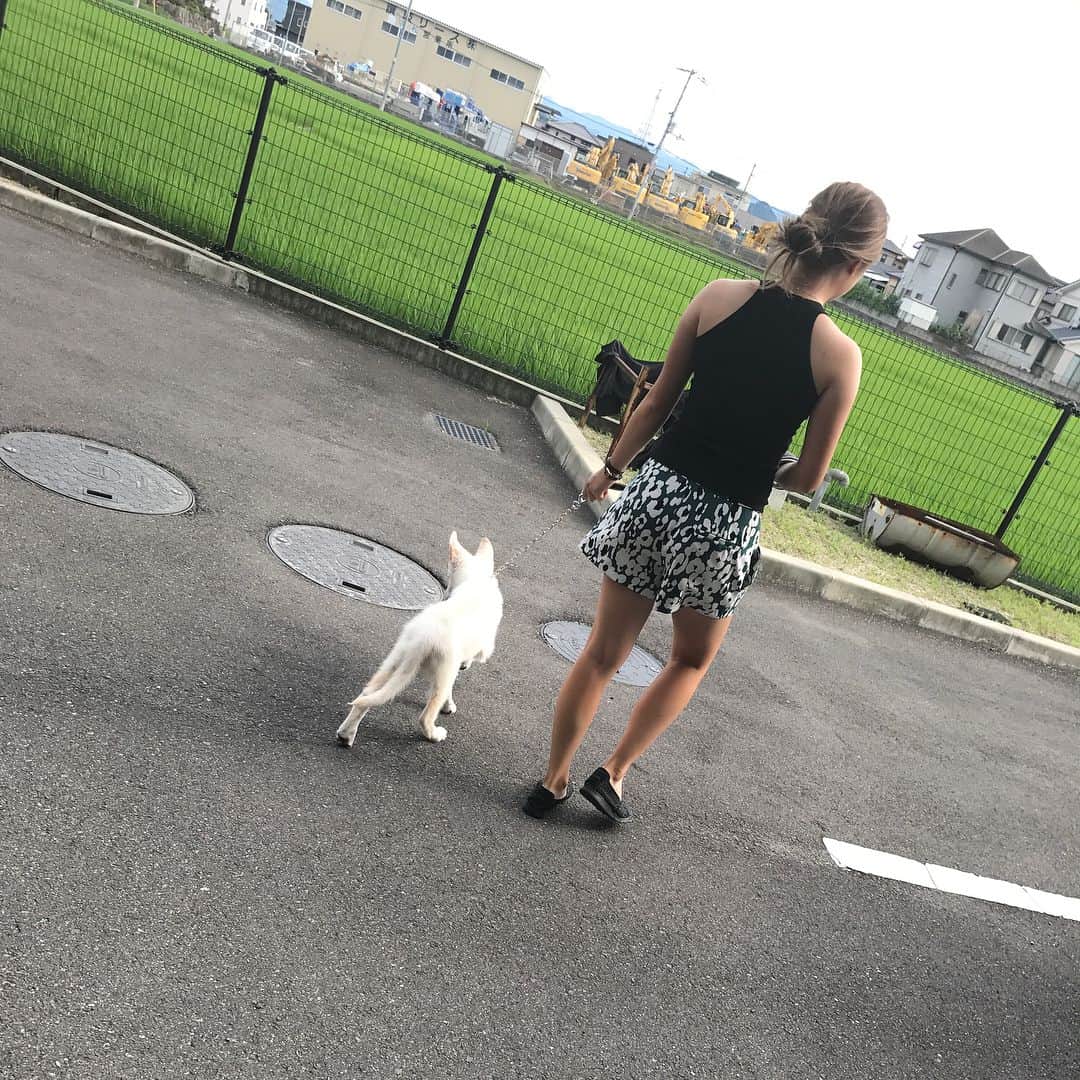 森田遥さんのインスタグラム写真 - (森田遥Instagram)「ついこないだまであんな小さくて散歩怖かったのに。。。🖤 今も可愛いけど😍❤️ やっぱ大型犬大好き🐶🤘 #愛犬ゼロ #ホワイトシェパード」10月24日 15時12分 - moritaharuka5588
