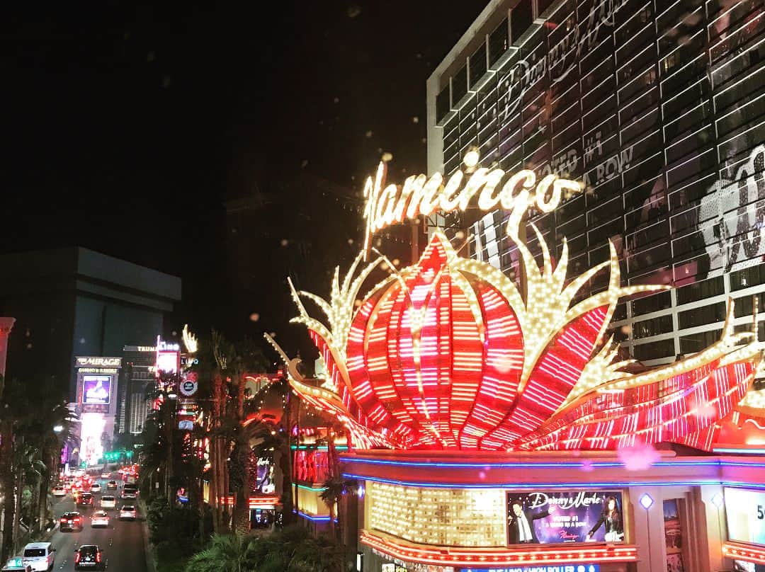 綾部祐二さんのインスタグラム写真 - (綾部祐二Instagram)「I'm having fun  in Las Vegas.」10月24日 19時36分 - yujiayabe