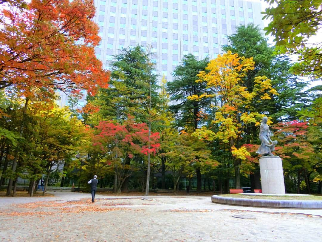 宮城県観光課さんのインスタグラム写真 - (宮城県観光課Instagram)「県庁前の勾当台公園も紅葉を迎えております🍁 (10月25日撮影📷) #仙台#宮城#勾当台公園 #紅葉#何気ない風景#癒された」10月25日 16時14分 - miyagi_pref_kankou