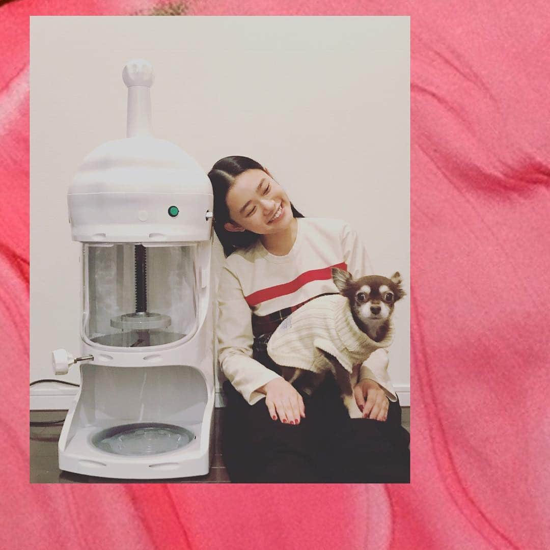 杉咲花のインスタグラム：「🍧🍧🍧！ 木村さんからお誕生日プレゼントで 本当にかき氷機を頂いてしまいました…！！ きゃー！！！ 万次兄ちゃん。。。いっぱい削らせていただきます！！ 感謝です😂✨」