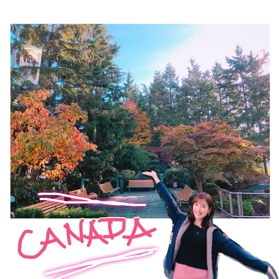 小澤陽子さんのインスタグラム写真 - (小澤陽子Instagram)「正解はー、、！⭕️ カナダでしたっ🇨🇦🙆🏼🙆🏼 #どこでしょう❔ の前回の問いに、#カナダ🇨🇦 と答えてくださった方が2人いて、ドキッとしました！！！😳✨✨笑  カナダは、緑も沢山、水も沢山ある、自然に溢れた本当に素敵なところです😭💕💕 #紅葉🍁 が綺麗すぎて、ついつい写真を撮りすぎてしまう… #みなさんにシェア💓 #おざよーtrip✈︎ さて次は💡 #何の仕事でしょう❔ (笑) #冒険好きおざよーの旅記録✈︎」10月26日 17時16分 - yoko.ozawa729