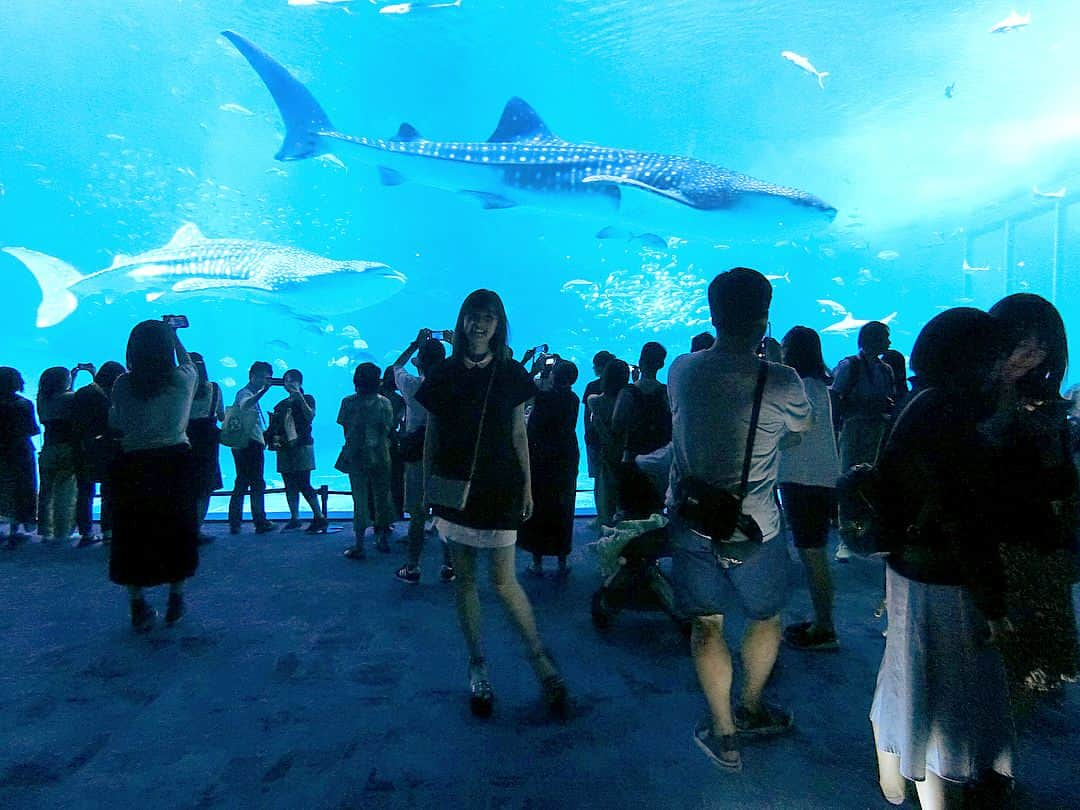 神谷由香さんのインスタグラム写真 - (神谷由香Instagram)「美ら海水族館🐟🐠🐡 #happy #沖縄 #美ら海水族館 #水族館 #美ら海 #me」10月26日 23時56分 - kamiya_yuka_