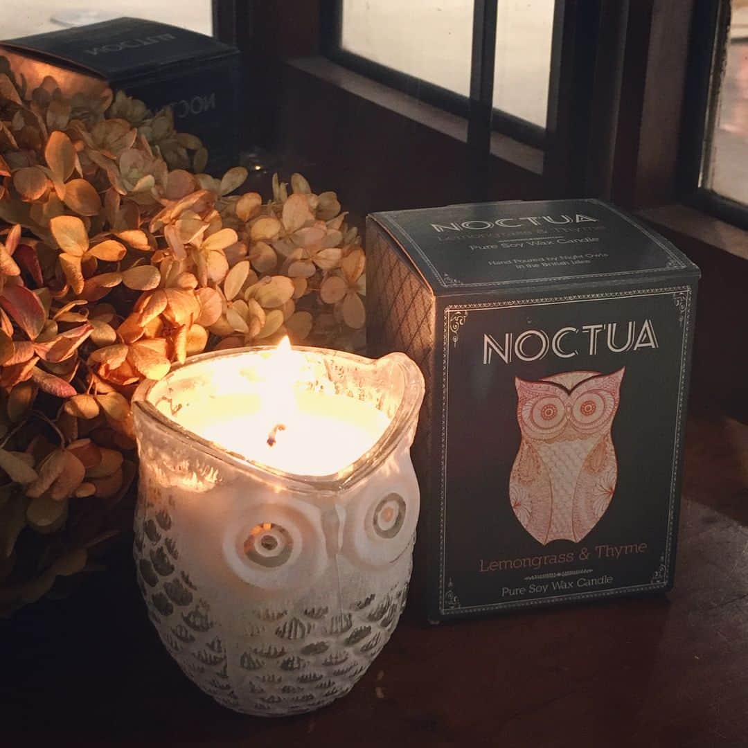 風間ゆみえのインスタグラム：「Dream Fantasque🌜  NOCTUA🦉のキャンドル、冬の香りを追加しました。」