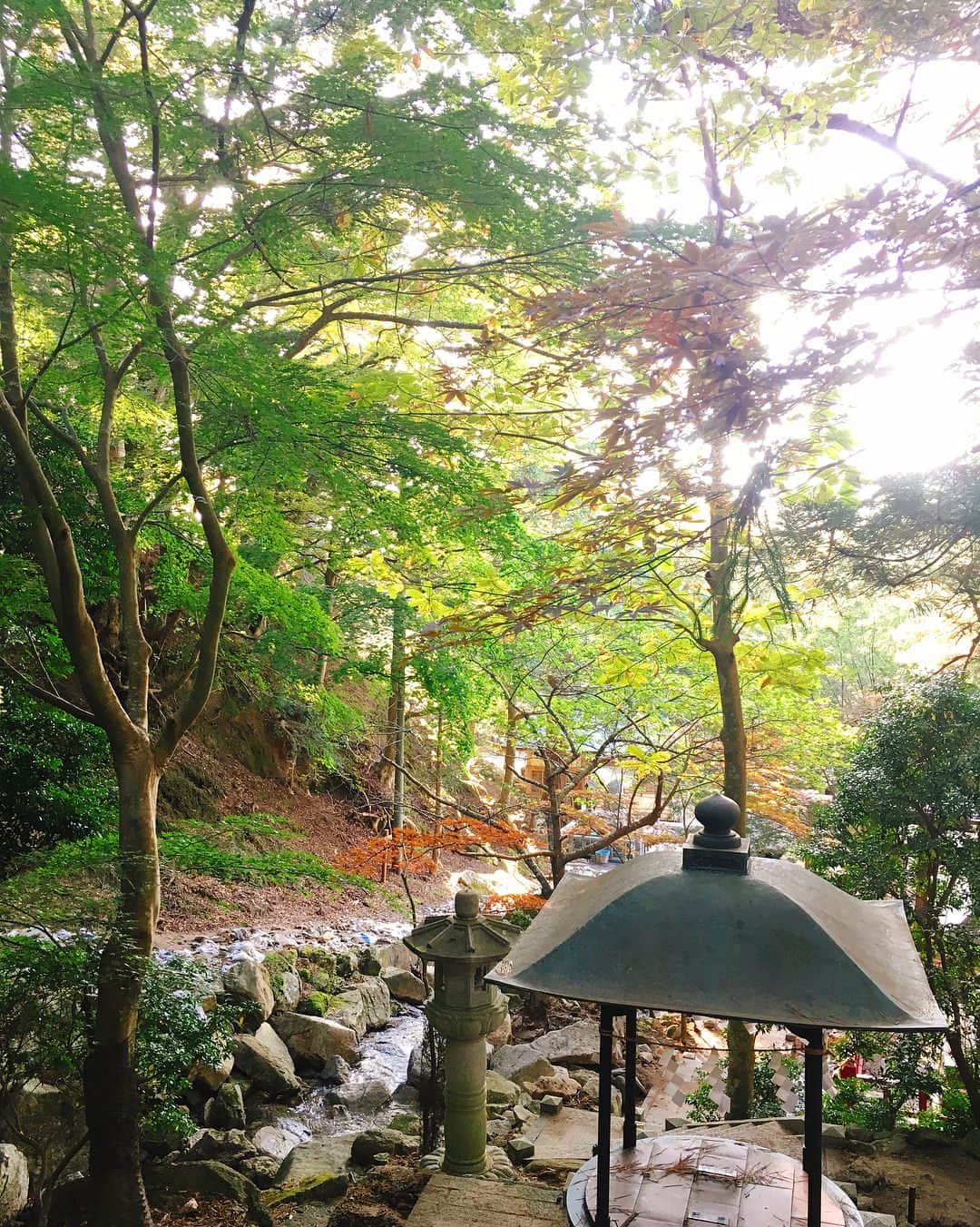 のインスタグラム：「石巻からボートで行く島【金華山】に行ってきました✨ 野生の鹿がたくさんいて温かい島の方たちにも感動。 少し色づいた紅葉の景色もとても美しかったです🍁 #日本の美 #JAPAN #東北 #宮城県 #石巻 #金華山 #黄金山神社 #powershot #パワースポット #金運 #japaneseisland #紅葉 #autumn #秋」