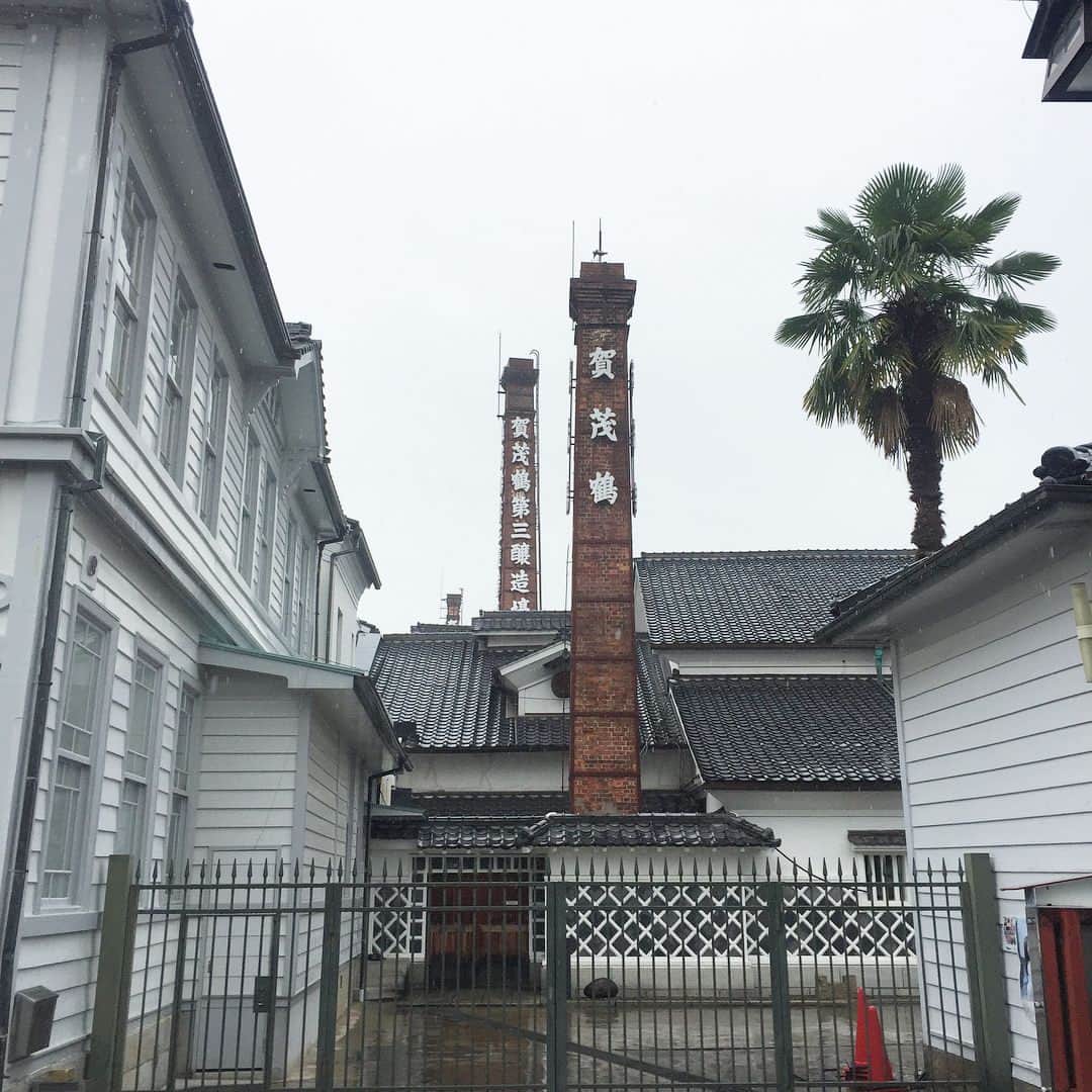 倉本康子のグルメインスタ