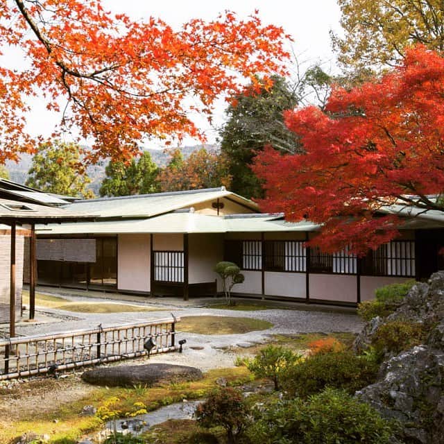 THE WESTIN KYOTO ウェスティン都ホテル京都のインスタグラム：「佳水園の紅葉 Red leaves in Kasuien  #ウェスティン都ホテル京都  #ウェスティン都 #ウェスティン都ホテル #蹴上  #京都岡崎  #thewestinmiyakokyoto #Kyoto  #京都 #ホテル  #hotel #hotels #westin #autumnleave #thewestinmiyako #紅葉 #autumnleaf #ウェスティン  #kasuien #佳水園 #redleaf #redleaves #kyoto #redleafs #紅葉シーズン #紅葉の秋 #紅葉の京都 #京都の紅葉」
