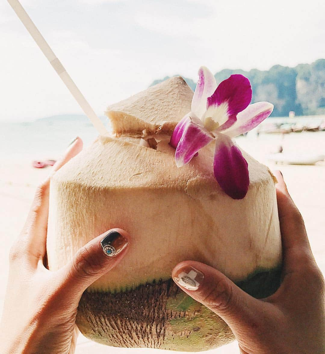 島野ミキさんのインスタグラム写真 - (島野ミキInstagram)「・ ・ ・ 📍railaybeach resort&spa #ココナッツジュース 🥥🌴 ・ ・ #旅行#トラベラー#カメラ女子#フォトジェニック#インスタ映え#プーケット#タイ#breakfast#railaybeach#railay#phuket#thailand#pool#model#Life#traveler#travel#Gina公式インスタグラマー#travelgram#instagramer#インフルエンサー#ビュースタグラマー#旅#女子旅#タビジョ#genic_pt#genic_mag#suiteroom#filmwalkr」11月23日 14時51分 - miki_shimano