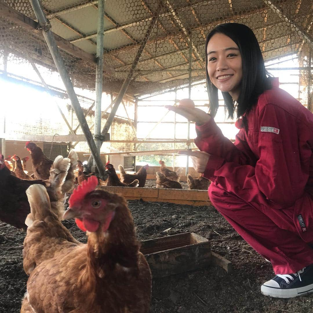 安田早紀さんのインスタグラム写真 - (安田早紀Instagram)「今日は、福島放送ヨジデスで、和食に合う食材を探してきました！福島のみなさん、ぜひ＼(^^)／ #ヨジデス #この卵おいしすぎてびっくりした #車麩 #今日も寒いですね #風邪など気をつけてくださいね #そしてお気づきだろうか #鶏に少しビクビクしている私 #笑」11月23日 12時09分 - saki.yasuda