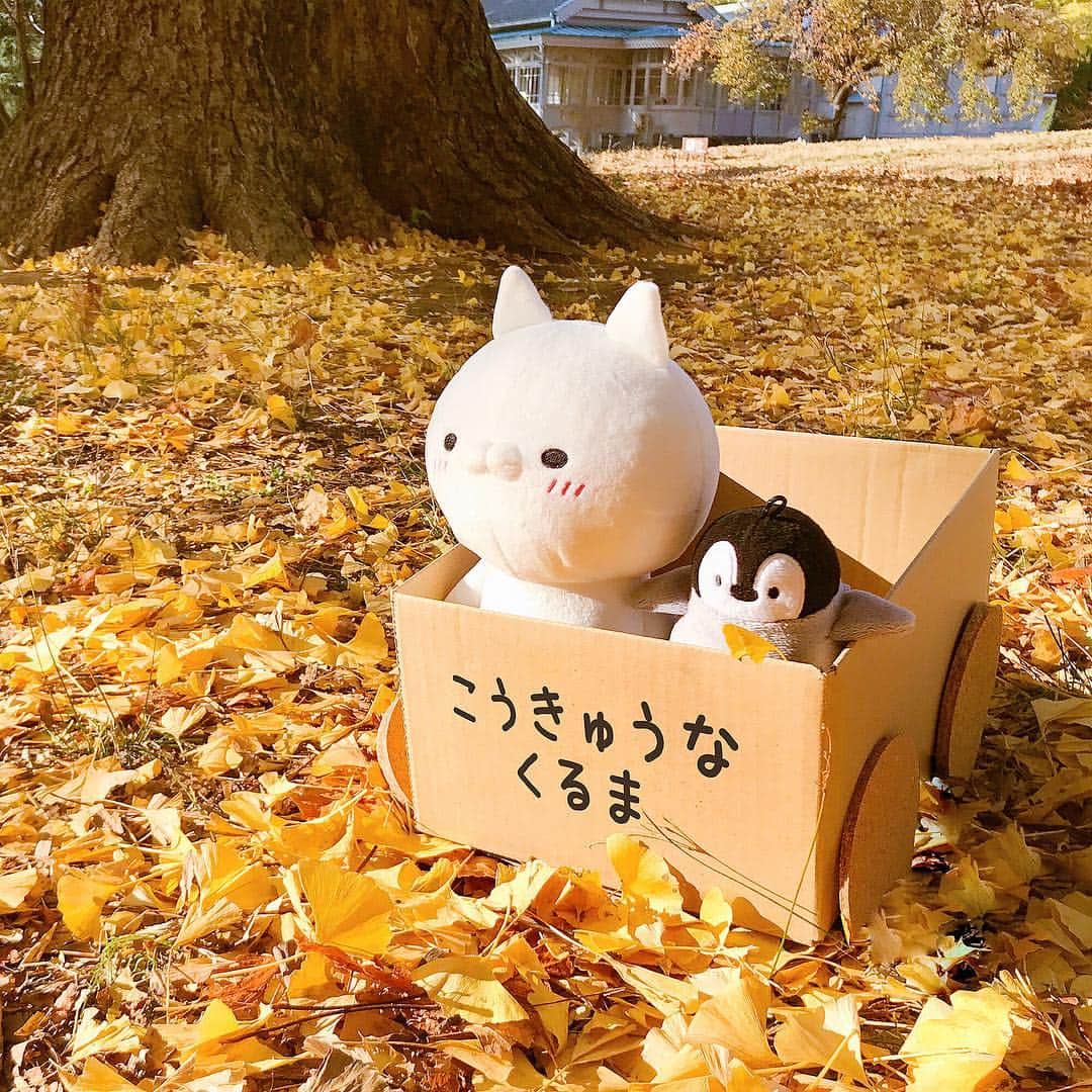 LINE Creators_officialのインスタグラム：「黄色い輝くイチョウの木の下で🚘🍂 . .  #秋も深まった #イチョウ #新宿御苑 #紅葉 #ねこぺん日和 #ねこぺん #ぺんちゃん #もじじ  #LINEクリエイターズ #LINEスタンプ #イラスト #LINECreators #mojiji #nekopen #cat #penguin #fall #autumnleaves #shinjukugyoen #japan #kawaii #instagood #라인크리에이터스」
