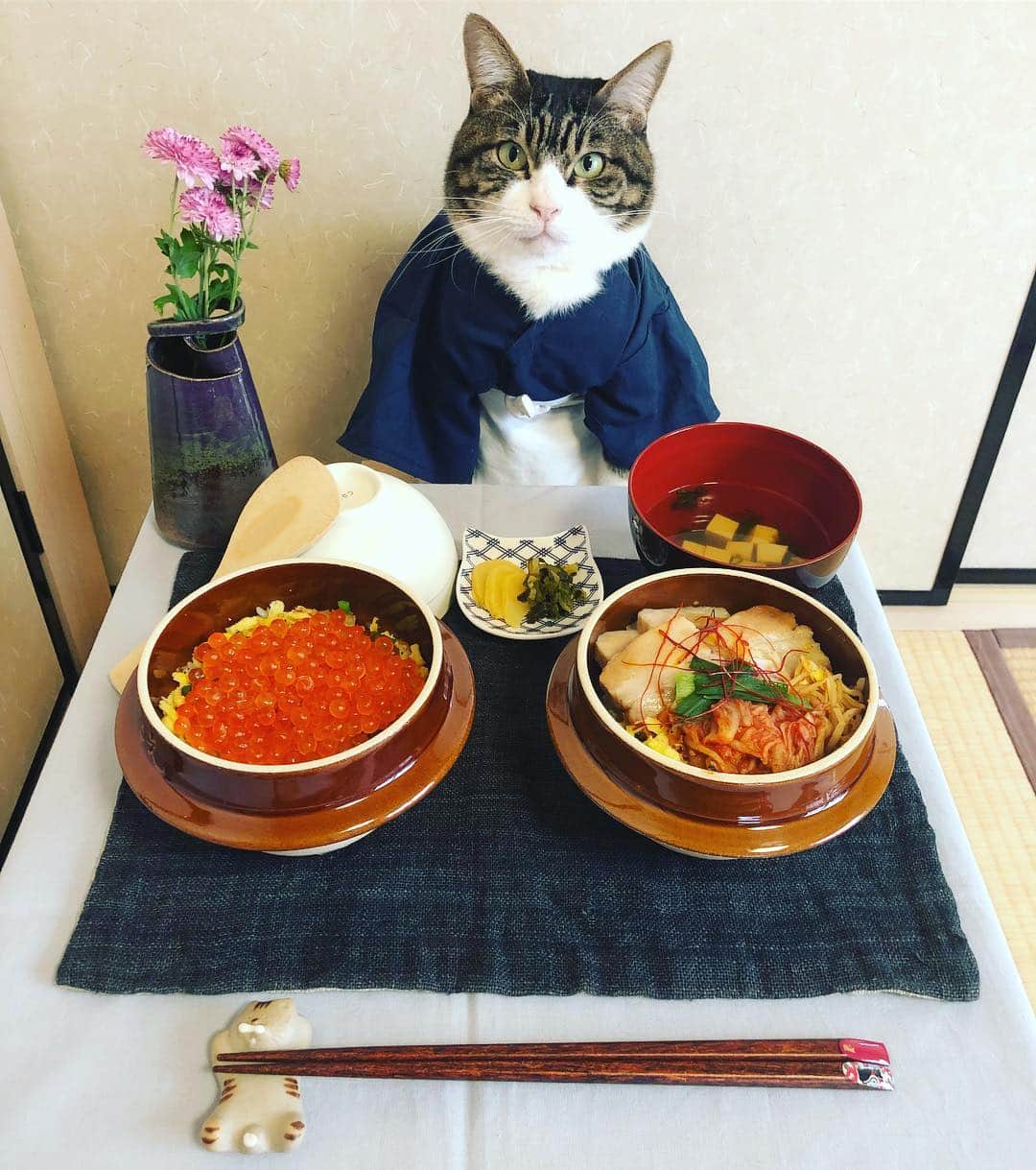 のインスタグラム：「@kama.ichi さんから、豪華な釜飯が届いたニャン‼️ ・いくら一面釜めし ・豚キムチ釜めし レンジで5分程度温めるだけで、出来たての美味しさが味わえるニャン❣️ ★ #cat#cats#catsofinstagram#catstagram#food#japanesefood#北海道 #釜めし#いちえ#いちえ市場#フード #お取り寄せ#グルメ」