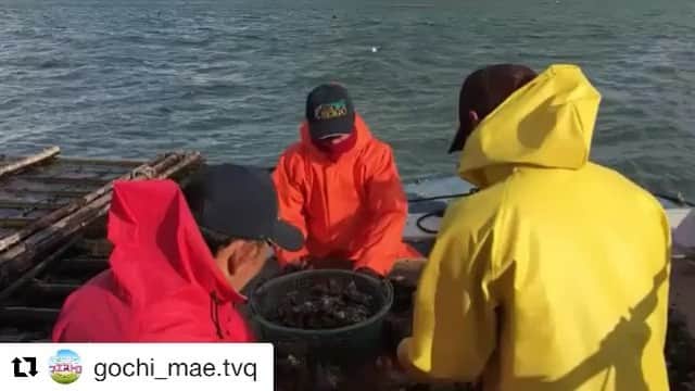 馬場裕之のインスタグラム：「#Repost @gochi_mae.tvq (@get_repost) ・・・ きょうは大海原でロケ🌊 皆さんが作業している横で…またまた😁やっとります🎣お天気よかった☀  #ごちそうマエストロ  #馬場ちゃん  #ロバート  #上野敏子  #福岡県  #tvq  #豊前海 #釣り #料理好きな人と繋がりたい」
