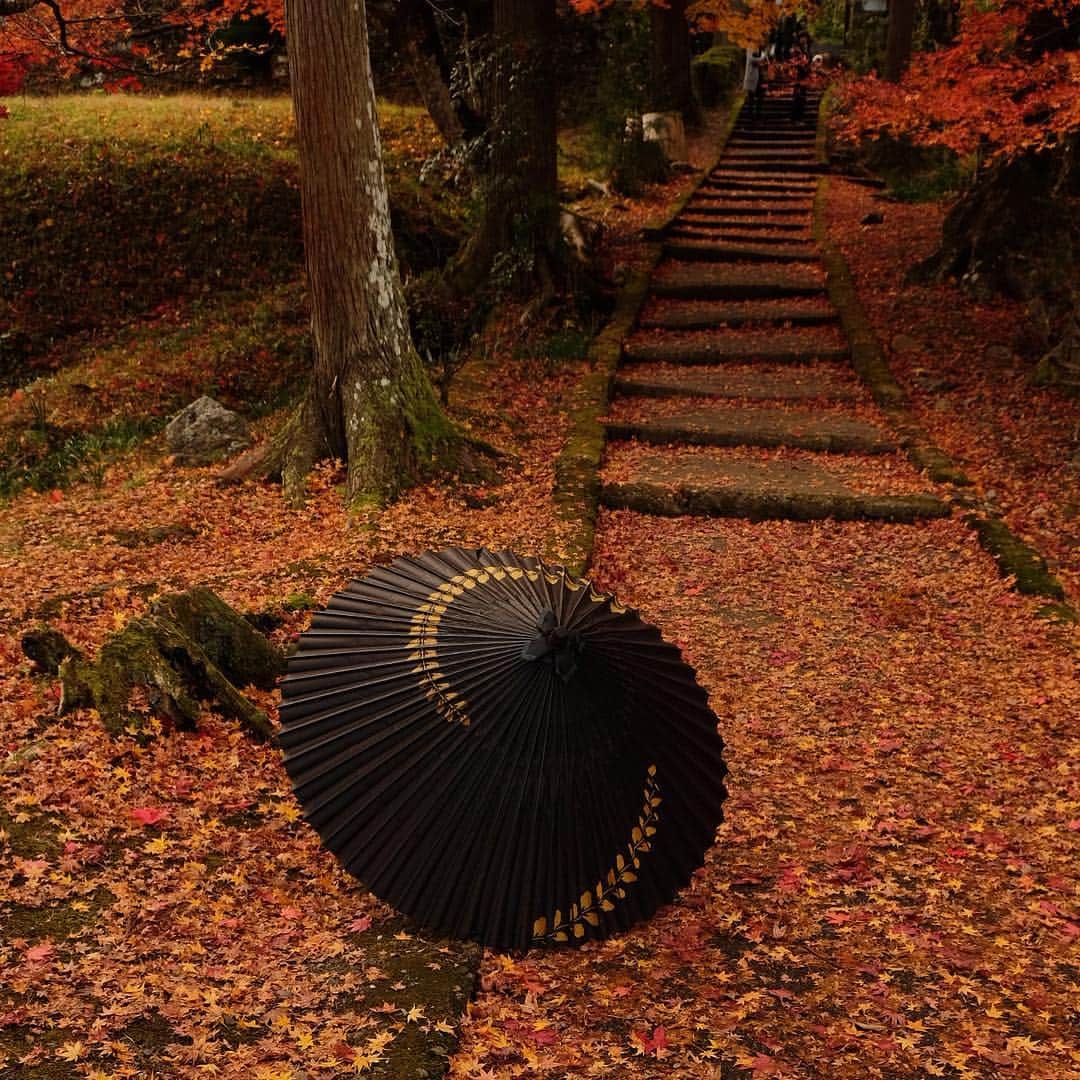 Atsukoさんのインスタグラム写真 - (AtsukoInstagram)「・ 散り紅葉 ・ ・ 毎年訪れる場所も年を追うごとに撮影される人が増えてるなあと思いながらもお気に入りの場所なので、やっぱりあげておきます😊🍁🍂 ・ ・ ＊」11月23日 23時12分 - atsuko12