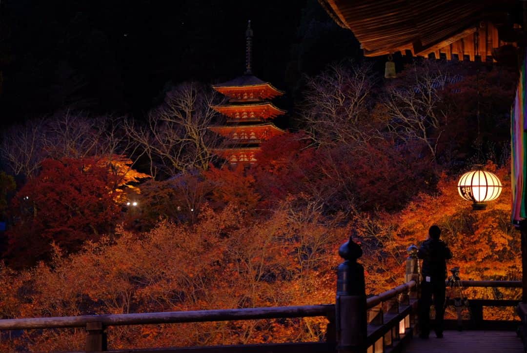 奈良 長谷寺 / nara hasederaのグルメインスタ