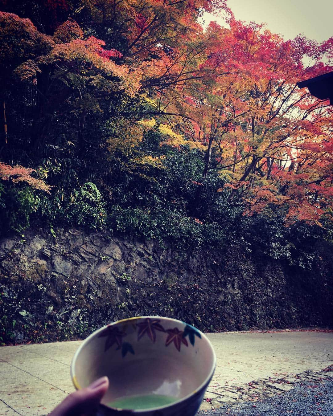 笛木優子のインスタグラム：「お抹茶が美味しゅうございます。 京都どす。 ここがどこかわかる人、、wイイねします🍁 #kyoto #京都」