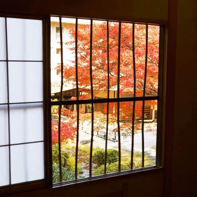 THE WESTIN KYOTO ウェスティン都ホテル京都のインスタグラム：「佳水園の紅葉 Red leaves in Kasuien Autumn leaves in Kasuien garden  #ウェスティン都ホテル京都  #ウェスティン都 #ウェスティン都ホテル #蹴上  #京都岡崎  #thewestinmiyakokyoto #Kyoto  #京都 #ホテル  #hotel #hotels #westin #autumnleave #thewestinmiyako #紅葉 #autumnleaf #ウェスティン  #kasuien #佳水園 #redleaf #redleaves #kyoto #redleafs #紅葉シーズン #紅葉の秋 #紅葉の京都 #京都の紅葉」