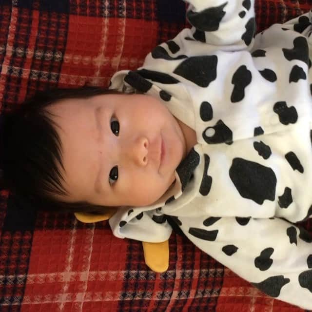 宮坂桃子のインスタグラム：「絶好調にご機嫌な時の秋ちゃん。ちなみに私も顔見ながらニヤニヤご機嫌👼🏻 #2ヶ月」