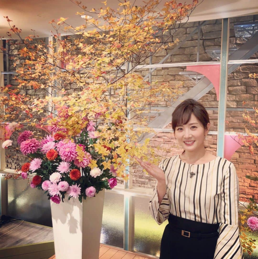 高島彩さんのインスタグラム写真 - (高島彩Instagram)「１１月最後のサタデーステーション。今日もありがとうございました。 依田さんの紅葉中継美しかったですね。 スタジオにもちいさな秋。 #Droitelautreamont トップス #PINKYandDIANNE スカート #スタジオ二階 #こんなところにもお花が✨」11月25日 22時24分 - aya.takashima_official_2021