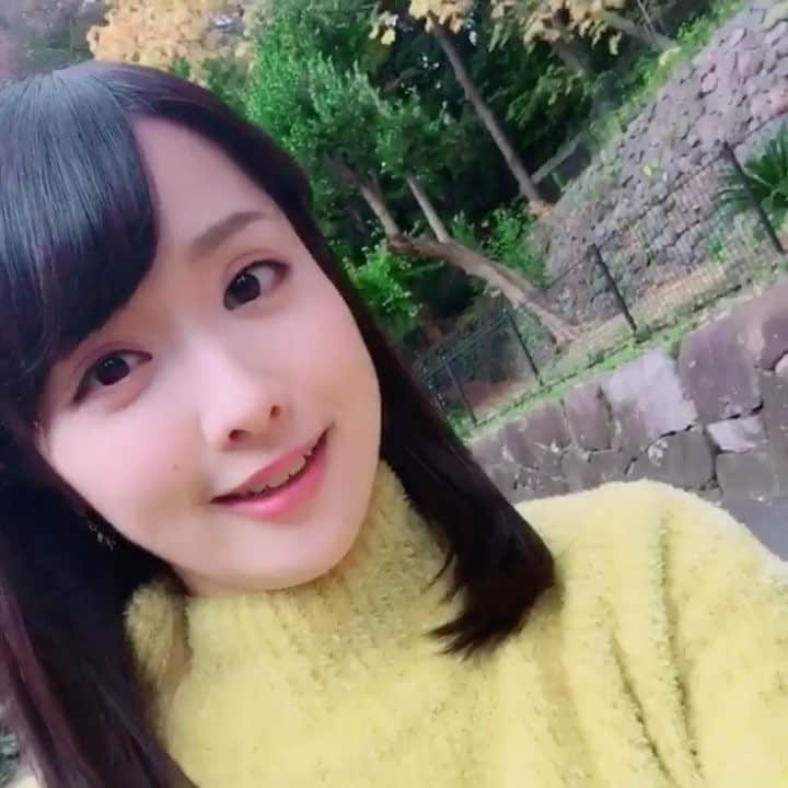 髙橋明日香のインスタグラム：「紅葉映したかったのに、全然映らなかった。 晴れの日の公園は気持ちいいね。  #撮影会 #秋ですね #なんでもない動画」
